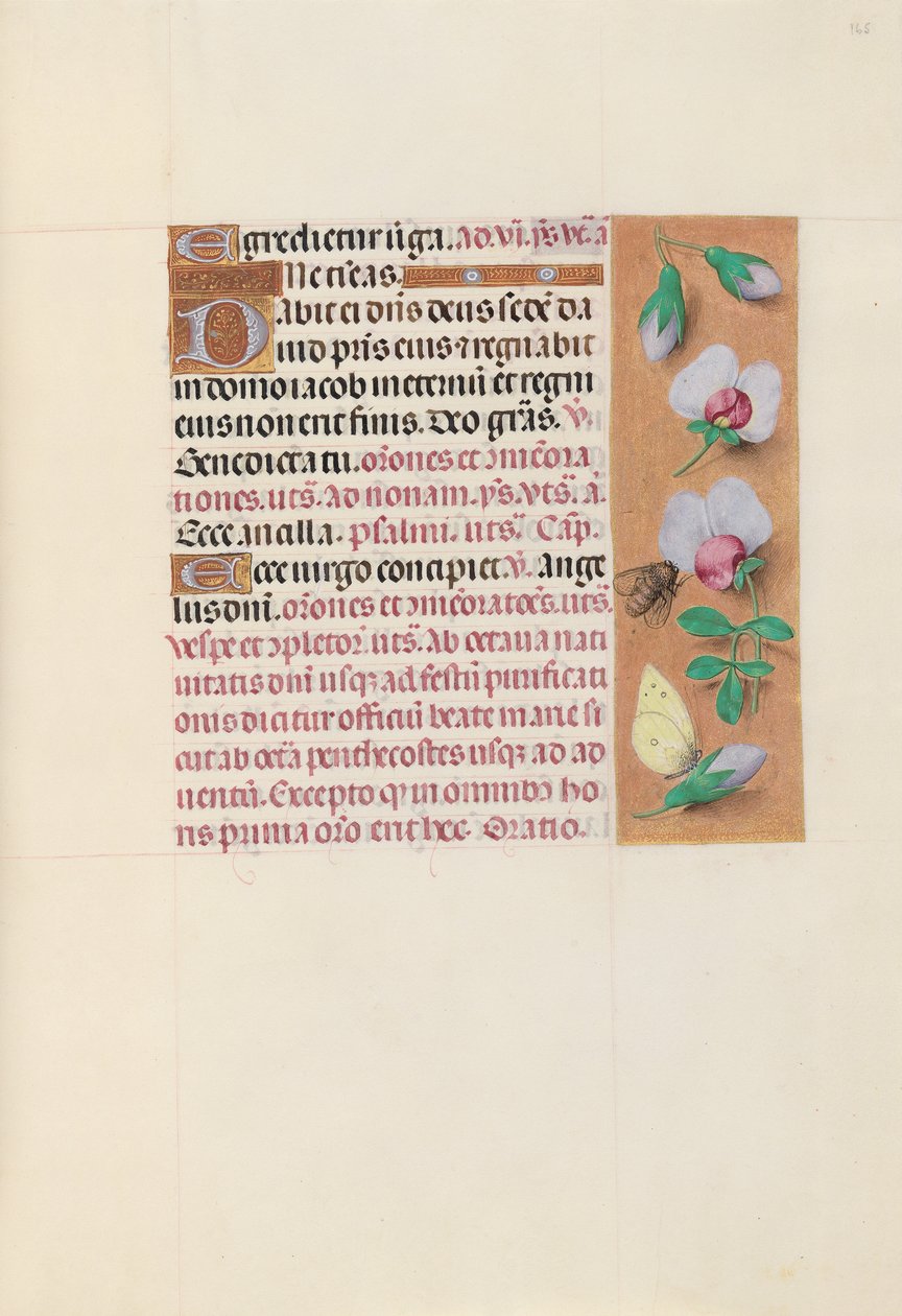 Kuningatar Isabella Katolisen, Espanjan kuningatar: Fol. 165r, c. 1500. tekijältä Master of the First Prayerbook of Maximillian