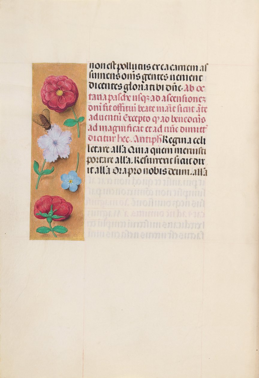 Kuningatar Isabella Katolisen, Espanjan kuningatar: Fol. 166v, c. 1500. tekijältä Master of the First Prayerbook of Maximillian