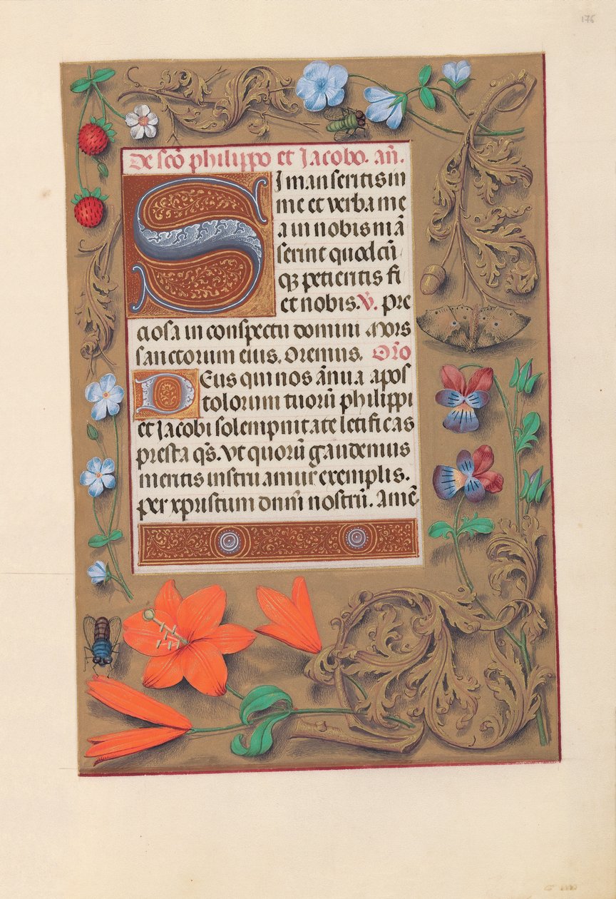 Kuningatar Isabella Katolisen, Espanjan kuningatar: Fol. 176r, c. 1500. tekijältä Master of the First Prayerbook of Maximillian