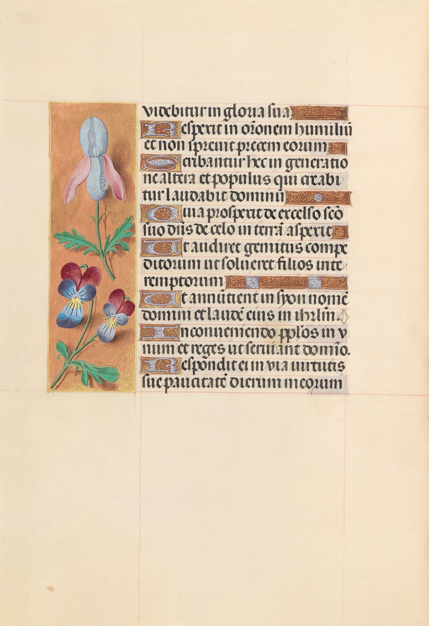 Kuningatar Isabella Katolisen, Espanjan kuningatar: Fol. 207v, c. 1500. tekijältä Master of the First Prayerbook of Maximillian