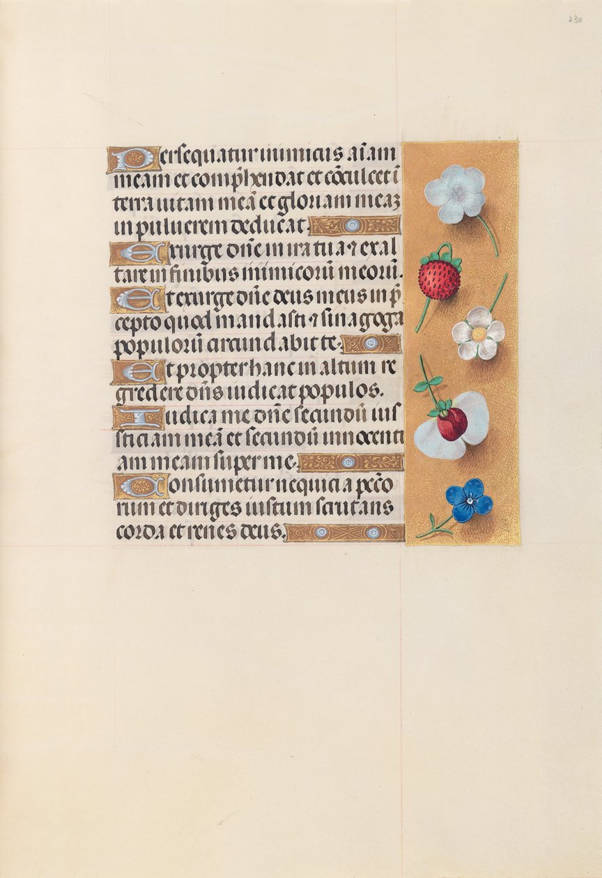Kuningatar Isabella Katolisen, Espanjan kuningatar: Fol. 230r, c. 1500. tekijältä Master of the First Prayerbook of Maximillian