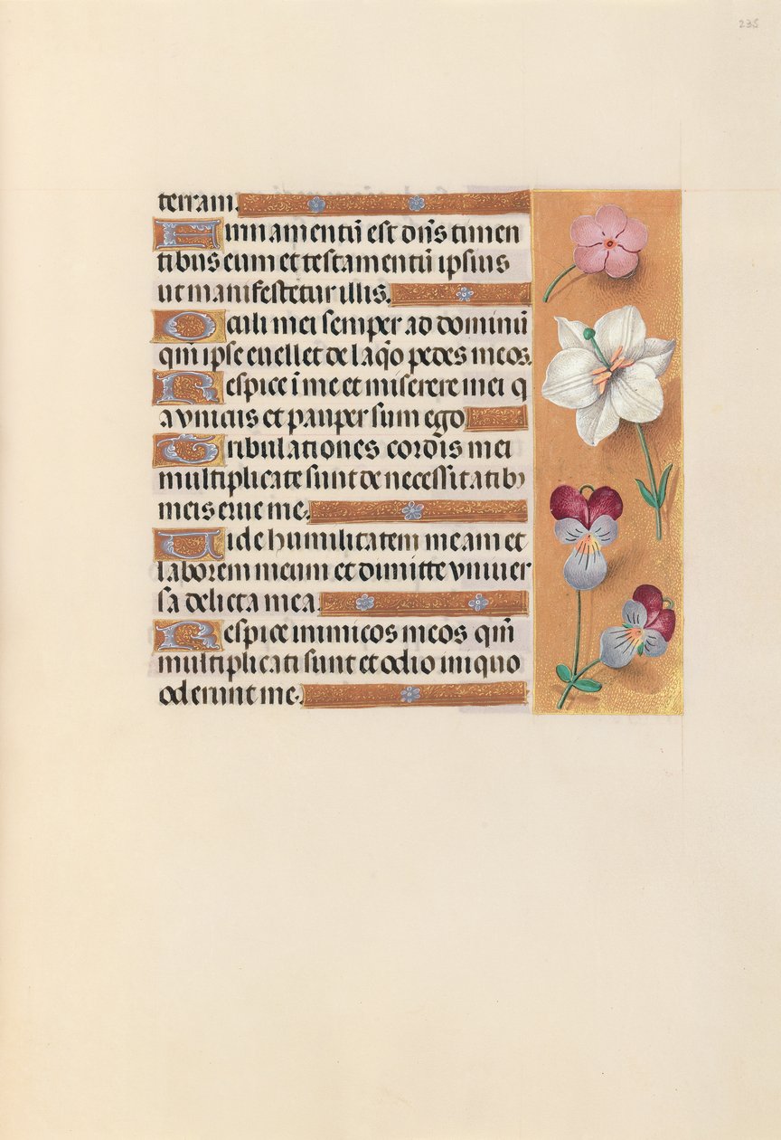 Kuningatar Isabella Katolisen, Espanjan kuningatar: Fol. 235r, c. 1500. tekijältä Master of the First Prayerbook of Maximillian