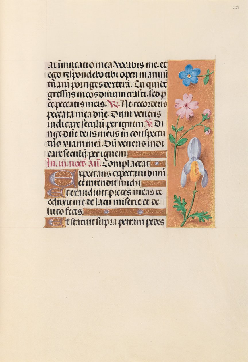 Kuningatar Isabella Katolisen, Espanjan kuningatar: Fol. 239r, c. 1500. tekijältä Master of the First Prayerbook of Maximillian