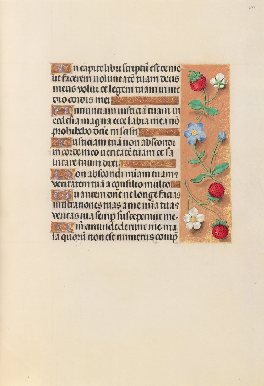 Espanjan kuningattaren Isabella katolisen tunteja:  Fol. 240r tekijältä Master of the First Prayerbook of Maximillian