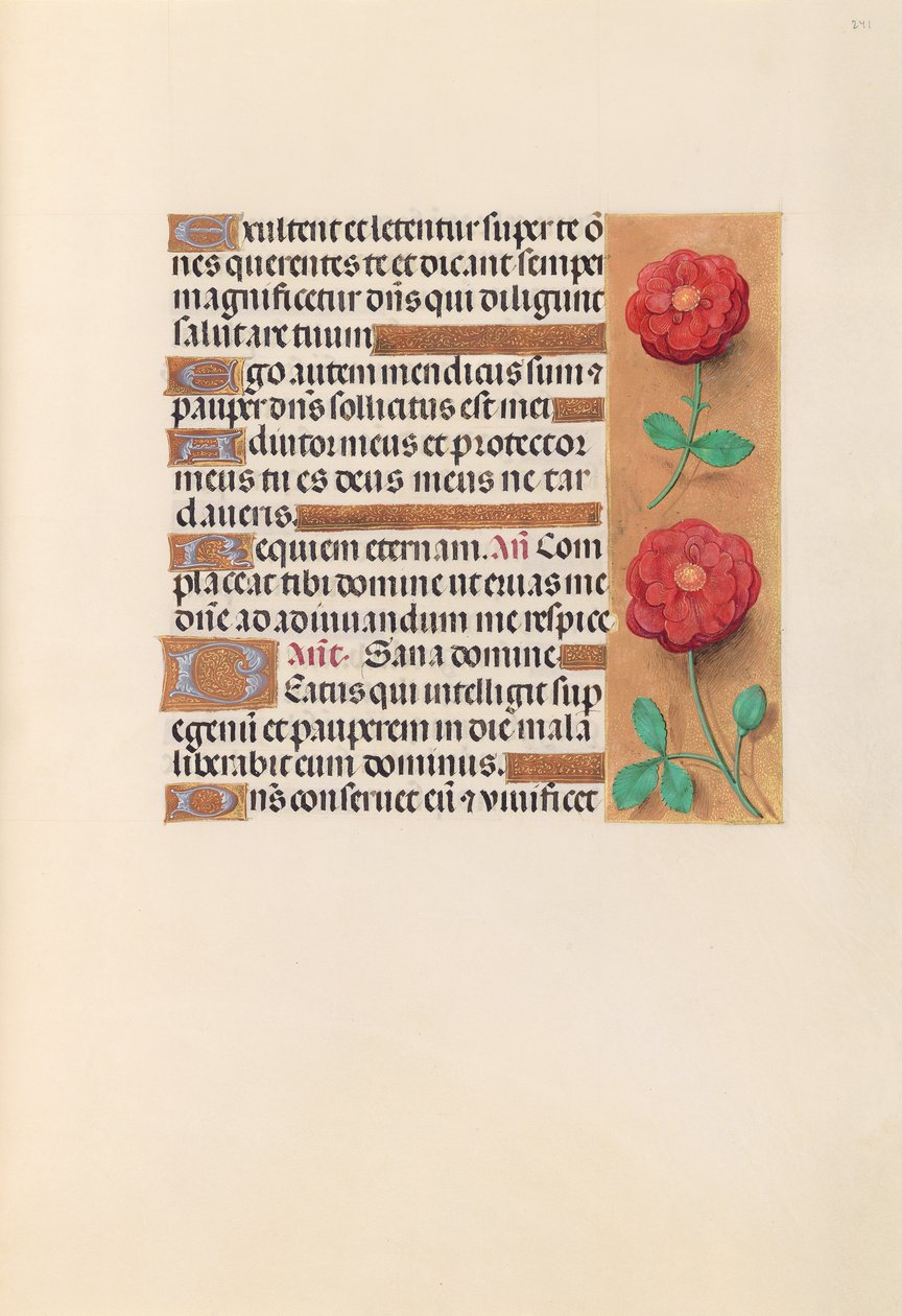 Kuningatar Isabella Katolisen, Espanjan kuningatar: Fol. 241r, c. 1500. tekijältä Master of the First Prayerbook of Maximillian