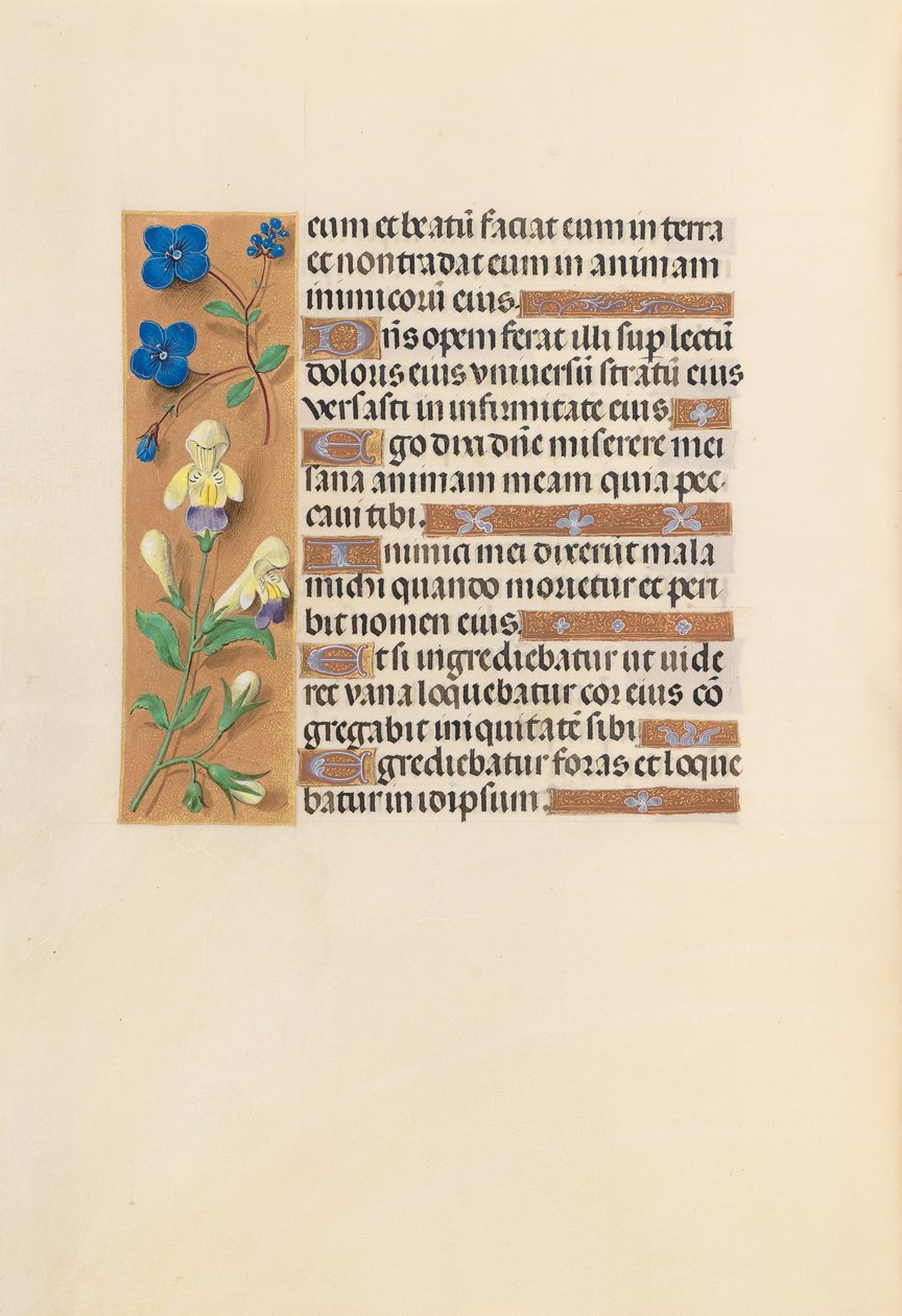Kuningatar Isabella Katolisen, Espanjan kuningatar: Fol. 241v, c. 1500. tekijältä Master of the First Prayerbook of Maximillian
