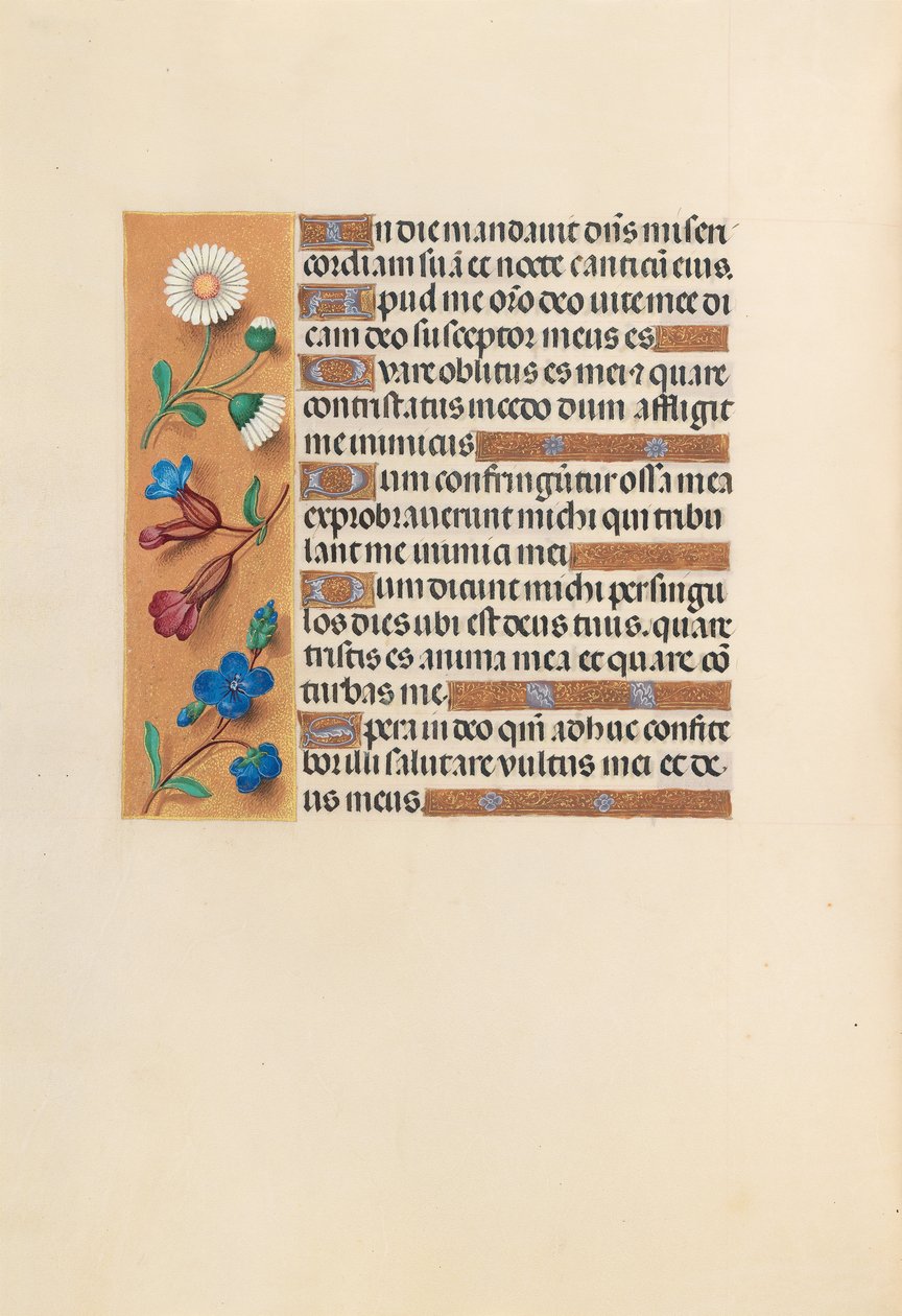 Kuningatar Isabella Katolisen, Espanjan kuningatar: Fol. 243v, c. 1500. tekijältä Master of the First Prayerbook of Maximillian
