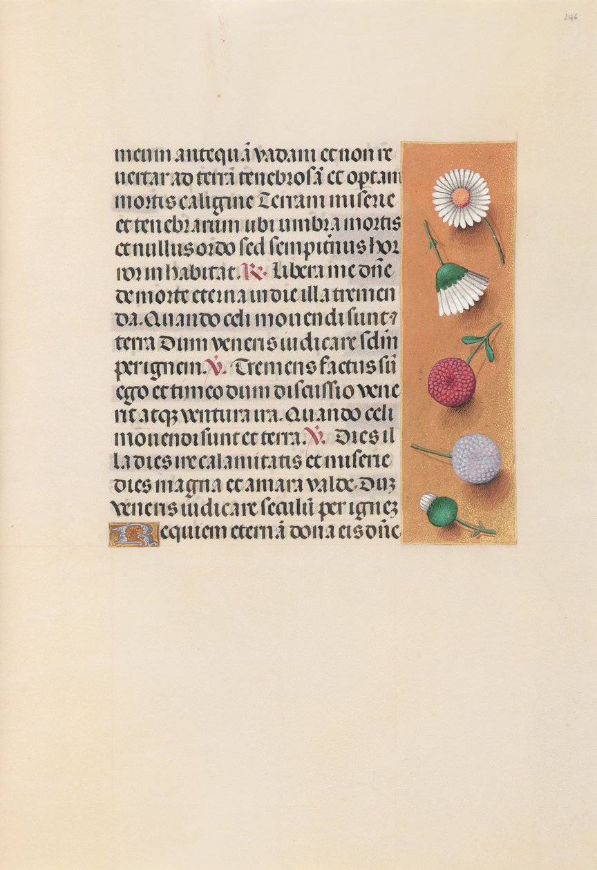 Kuningatar Isabella Katolisen, Espanjan kuningatar: Fol. 245r, c. 1500. tekijältä Master of the First Prayerbook of Maximillian
