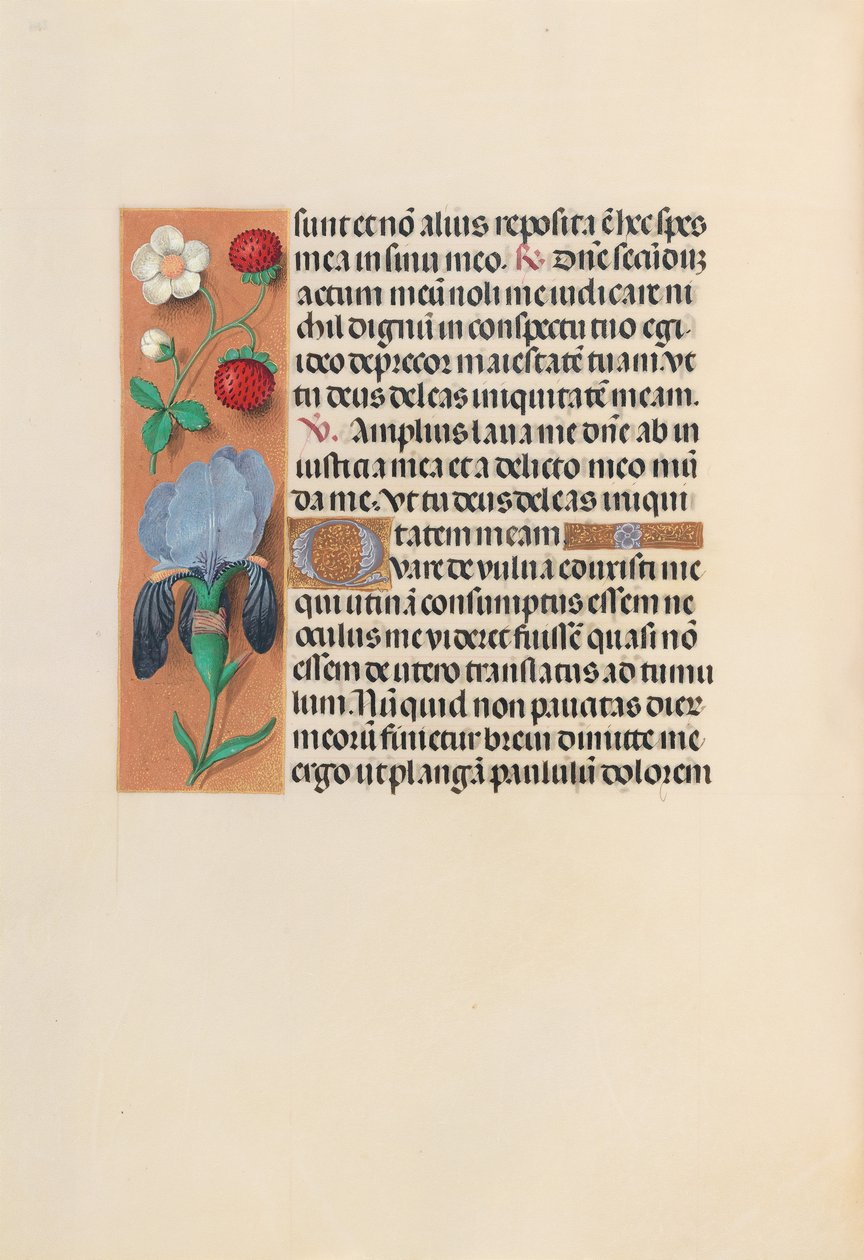Kuningatar Isabella Katolisen, Espanjan kuningatar: Fol. 245v, c. 1500. tekijältä Master of the First Prayerbook of Maximillian