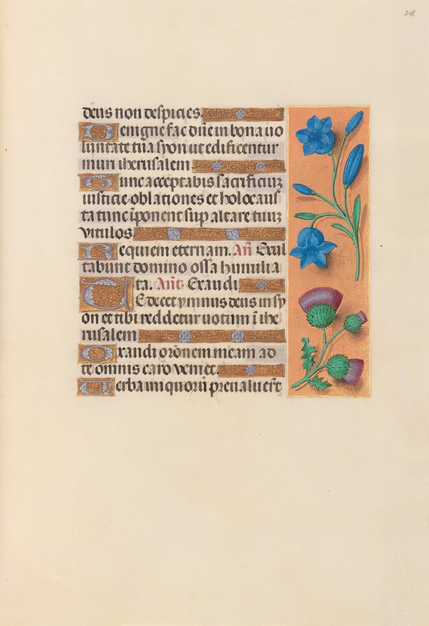 Kuningatar Isabella Katolisen, Espanjan kuningatar: Fol. 248r, c. 1500. tekijältä Master of the First Prayerbook of Maximillian
