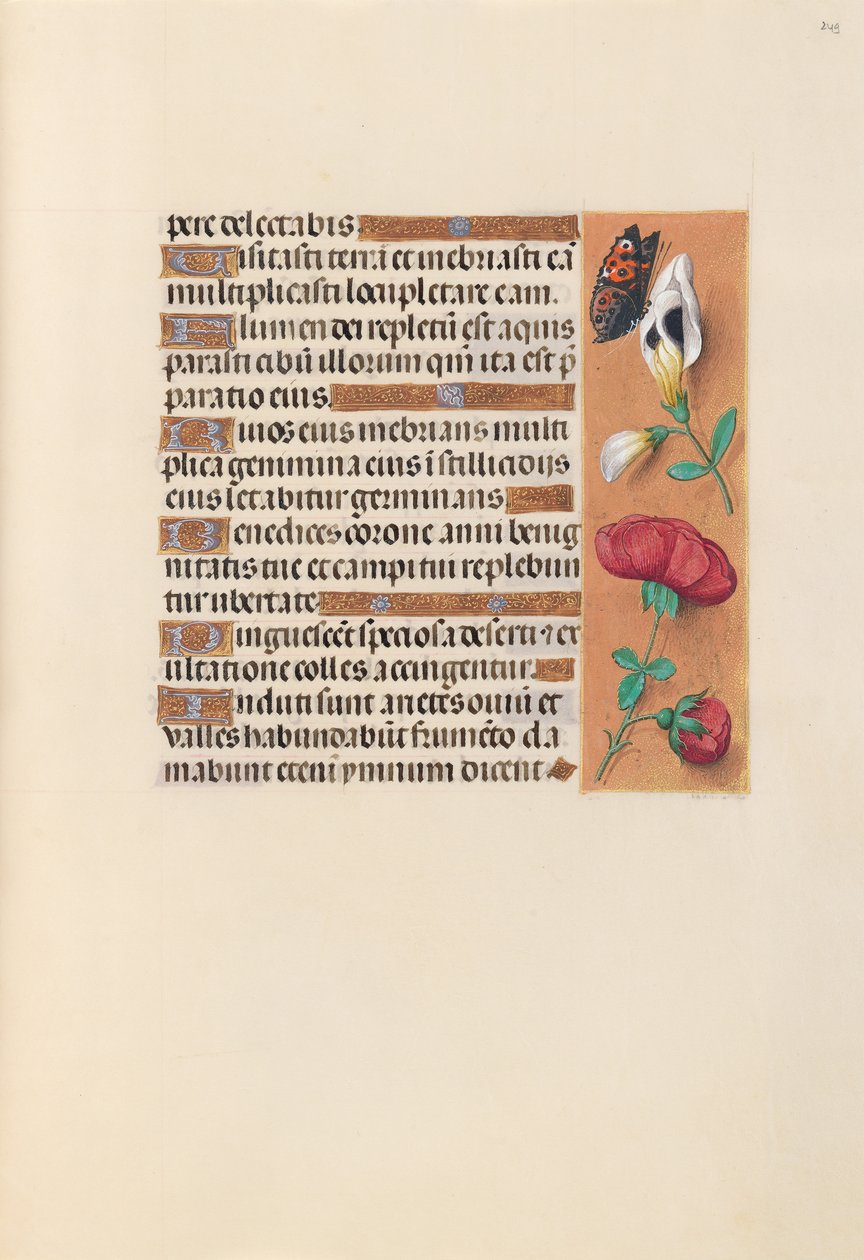 Kuningatar Isabella Katolisen, Espanjan kuningatar: Fol. 249r, c. 1500. tekijältä Master of the First Prayerbook of Maximillian