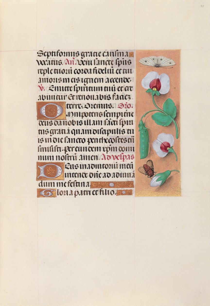 Kuningatar Isabella Katolisen, Espanjan kuningatar: Fol. 35r, c. 1500. tekijältä Master of the First Prayerbook of Maximillian