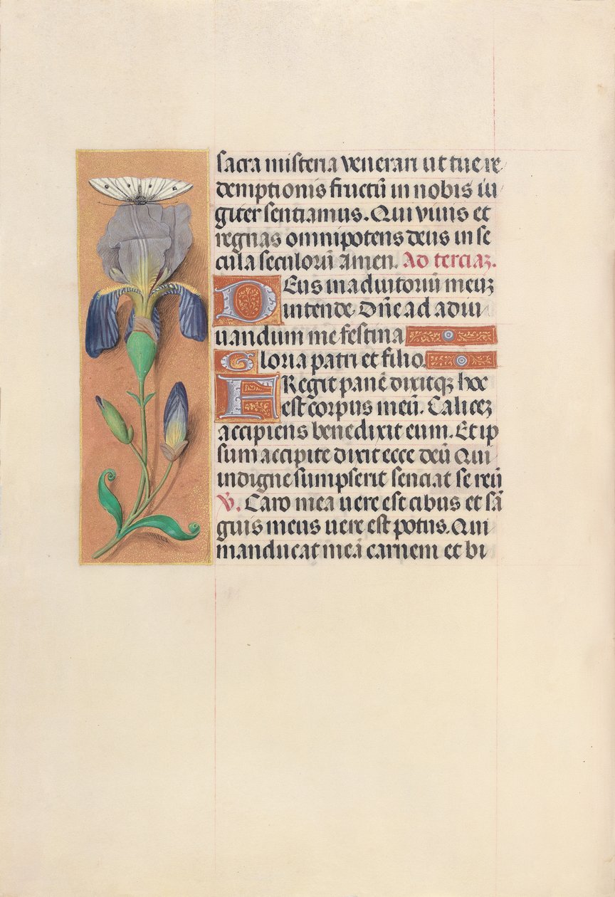 Kuningatar Isabella Katolisen, Espanjan kuningatar: Fol. 45v, c. 1500. tekijältä Master of the First Prayerbook of Maximillian