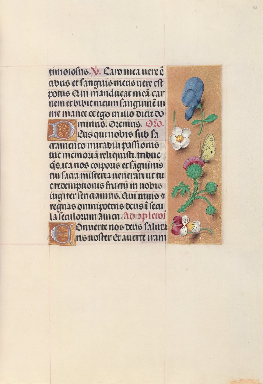 Kuningatar Isabella Katolisen, Espanjan kuningatar: Fol. 48r, c. 1500. tekijältä Master of the First Prayerbook of Maximillian