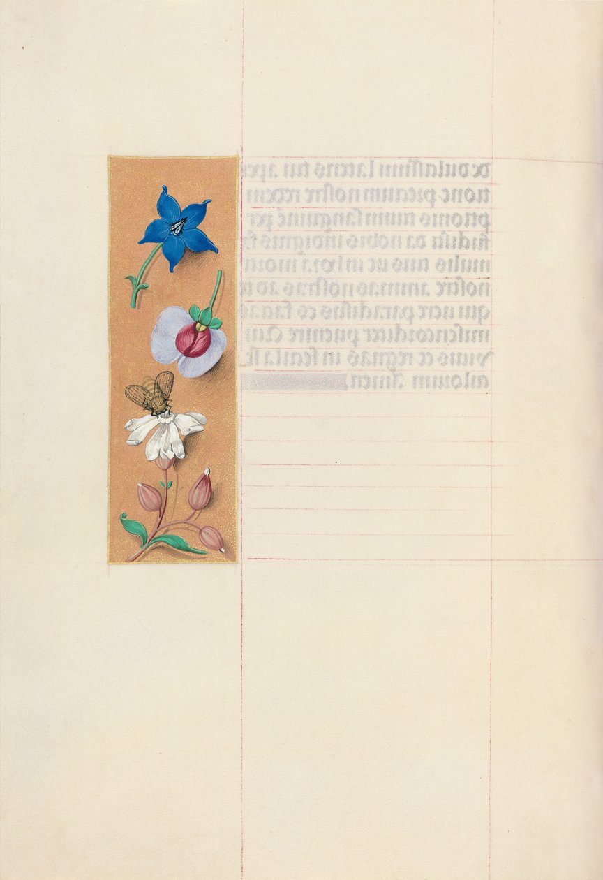 Kuningatar Isabella Katolisen, Espanjan kuningatar: Fol. 71v, c. 1500. tekijältä Master of the First Prayerbook of Maximillian