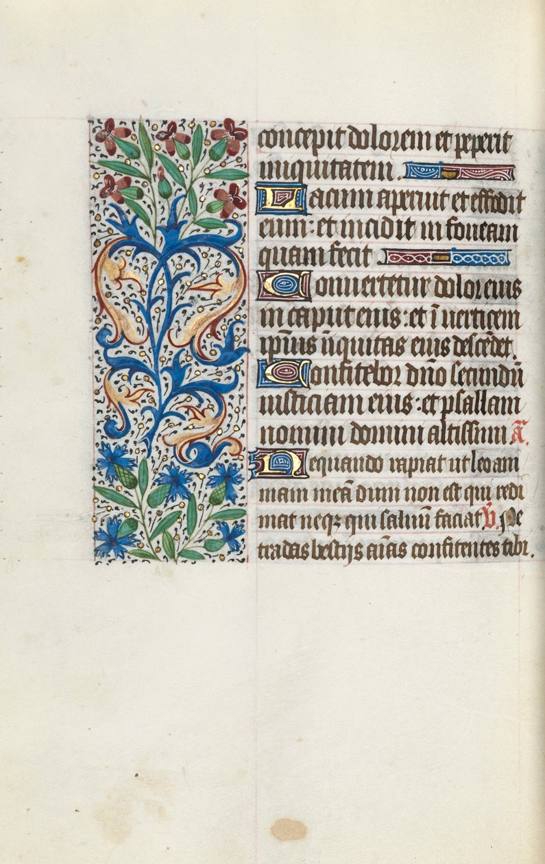 Tuntikirja Rouenin käyttö: fol. 114v, c. 1470. tekijältä Master of the Geneva Latini