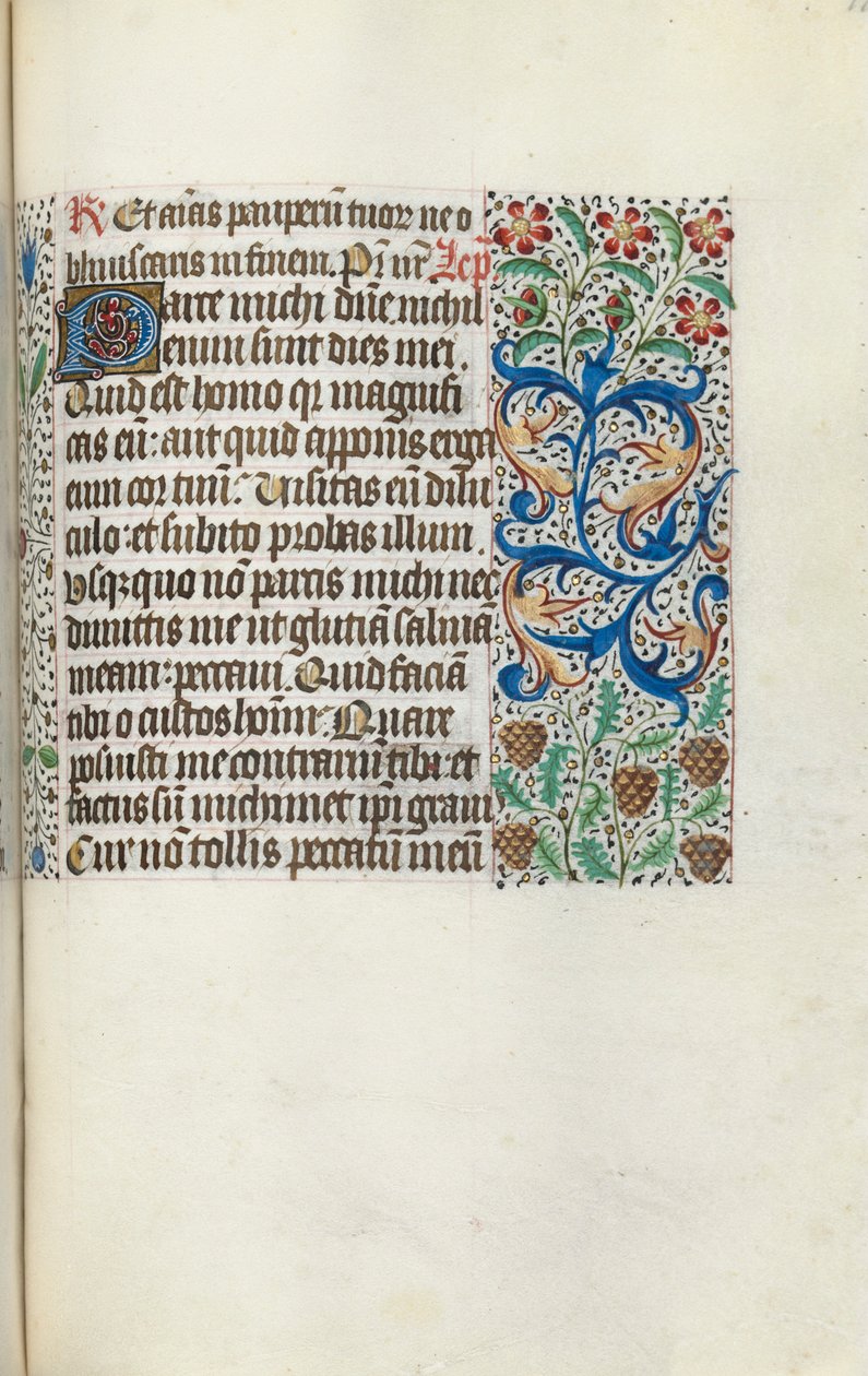 Tuntikirja Rouenin käyttö: fol. 115r, c. 1470. tekijältä Master of the Geneva Latini