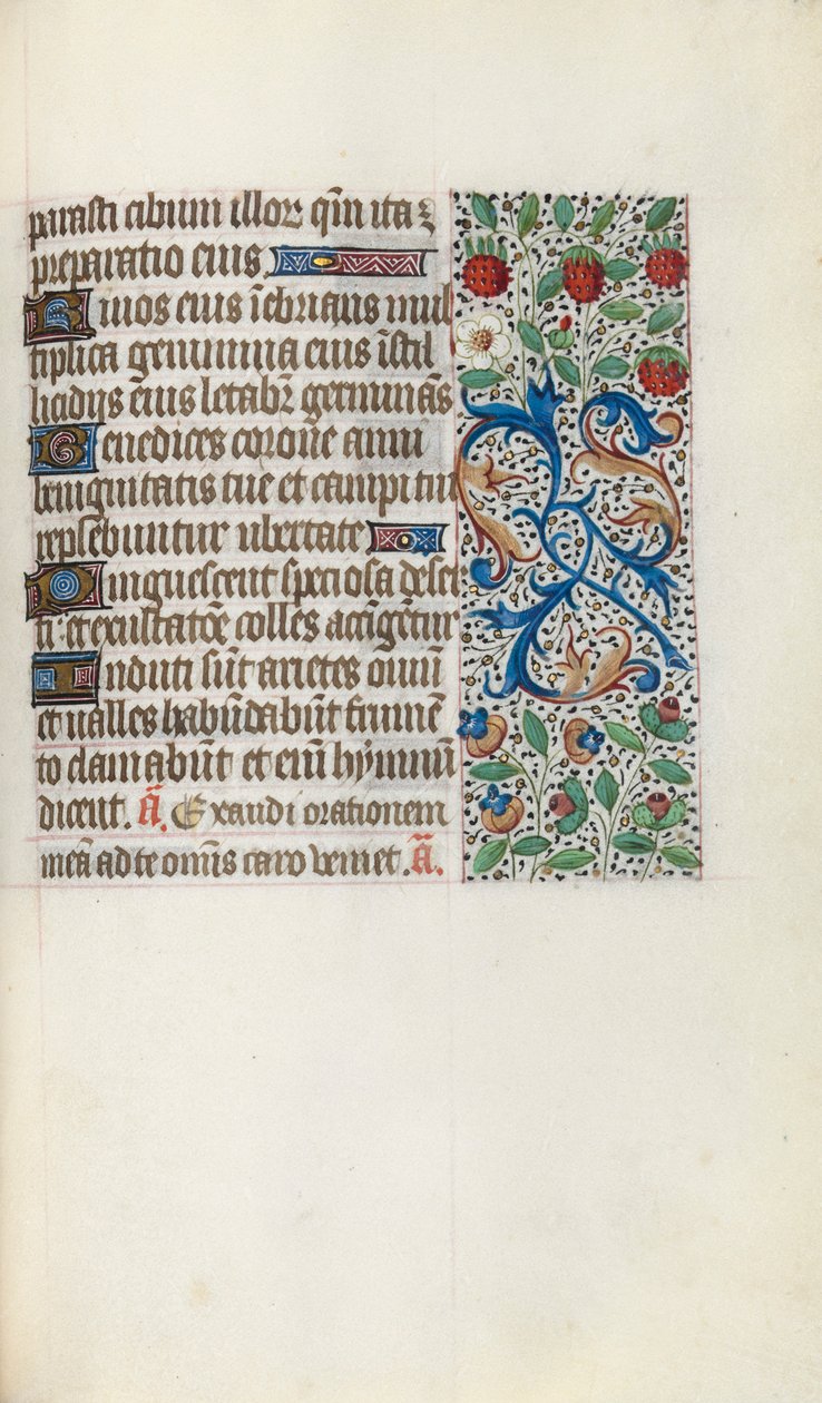 Tuntikirja Rouenin käyttö: fol. 137r, c. 1470. tekijältä Master of the Geneva Latini