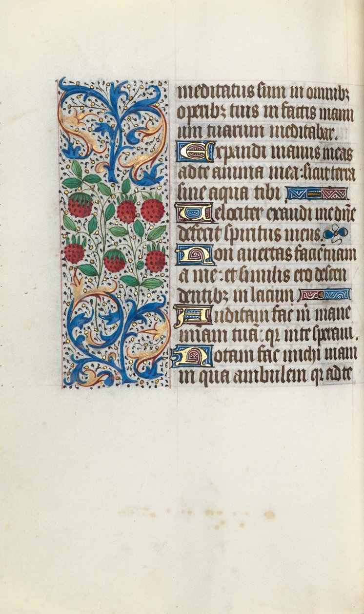Tuntikirja Rouenin käyttö: fol. 91v, c. 1470. tekijältä Master of the Geneva Latini
