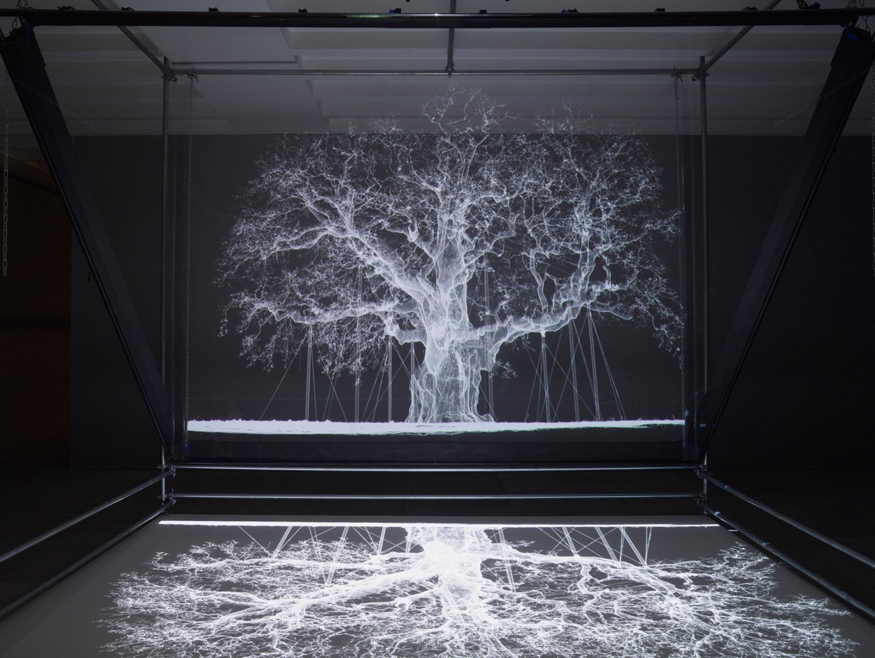 Albion, 2017 (projektori, mediasoitin, telineet, läpinäkyvä kalvo, puu, maali, peili, venytystarvikkeet) tekijältä Mat Collishaw