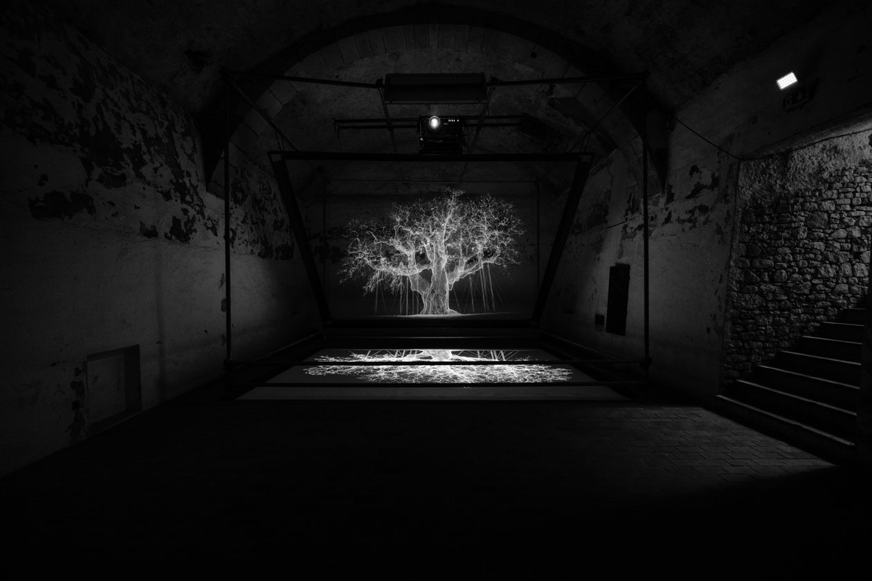 Albion, 2017 (projektori, mediasoitin, telineet, läpinäkyvä kalvo, puu, maali, peili, venytystarvikkeet) tekijältä Mat Collishaw