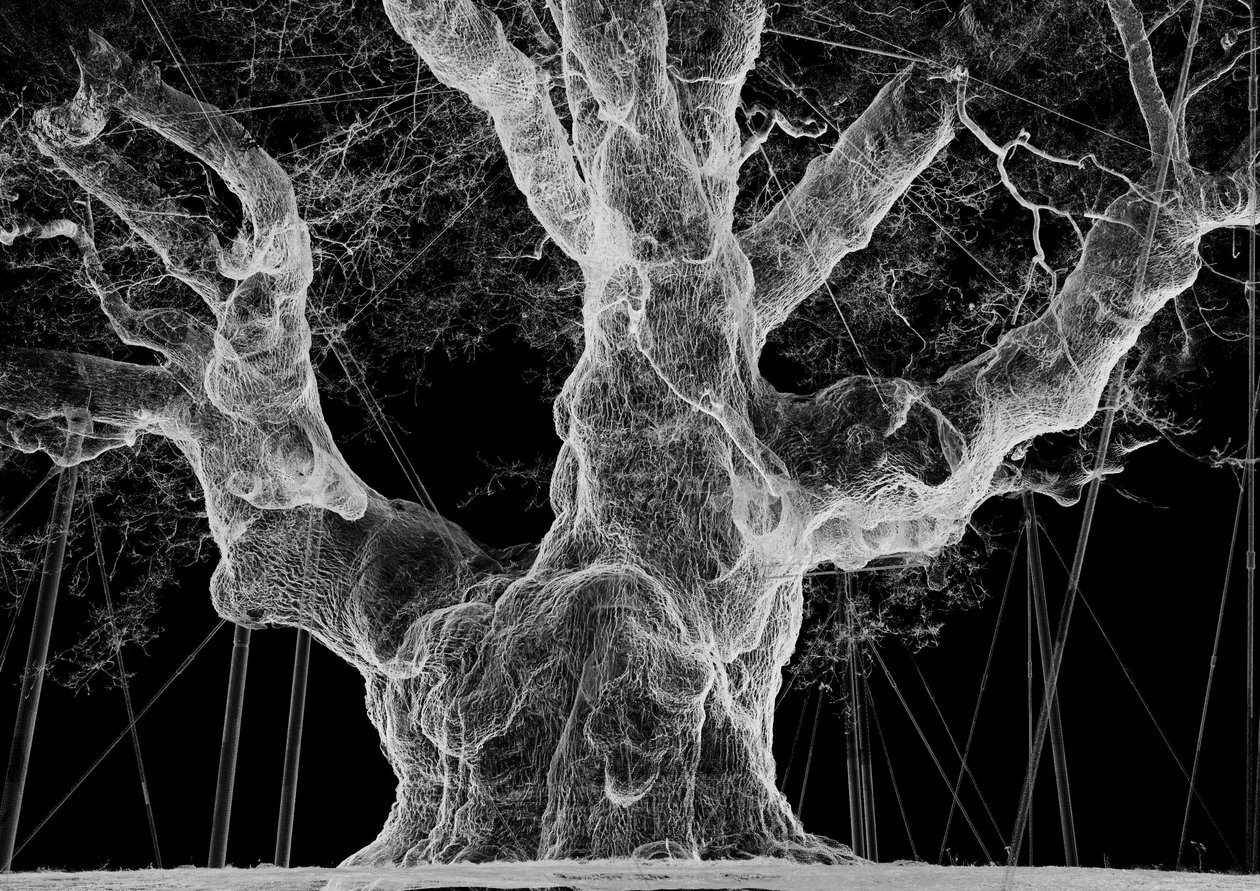 Albion, 2017 (projektori, mediasoitin, telineet, läpinäkyvä kalvo, puu, maali, peili, venytystarvikkeet) tekijältä Mat Collishaw
