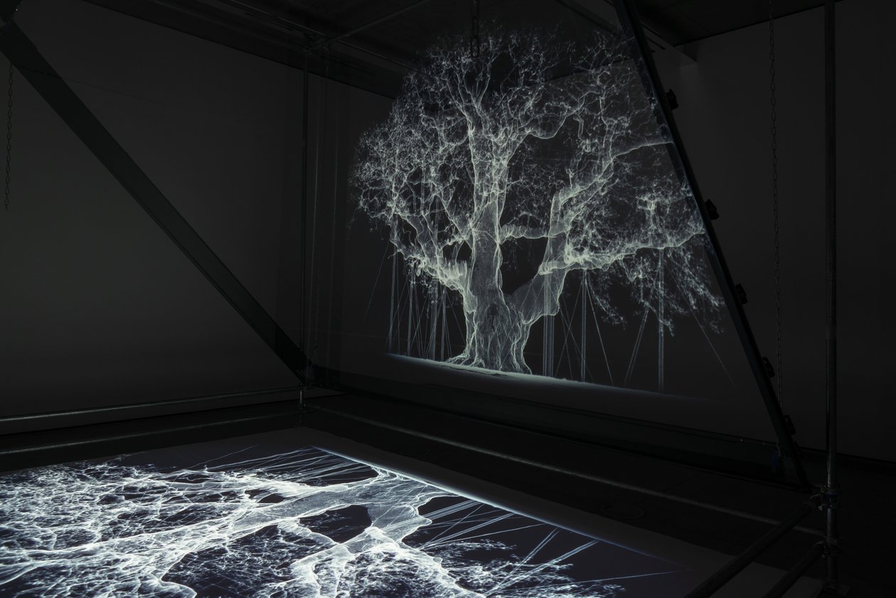 Albion, 2017 (projektori, mediasoitin, telineet, läpinäkyvä kalvo, puu, maali, peili, venytystarvikkeet) tekijältä Mat Collishaw