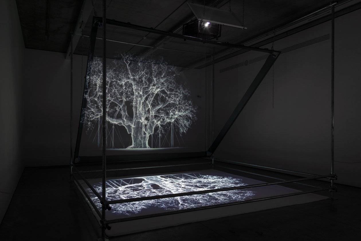 Albion, 2017 (projektori, mediasoitin, telineet, läpinäkyvä kalvo, puu, maali, peili, venytystarvikkeet) tekijältä Mat Collishaw