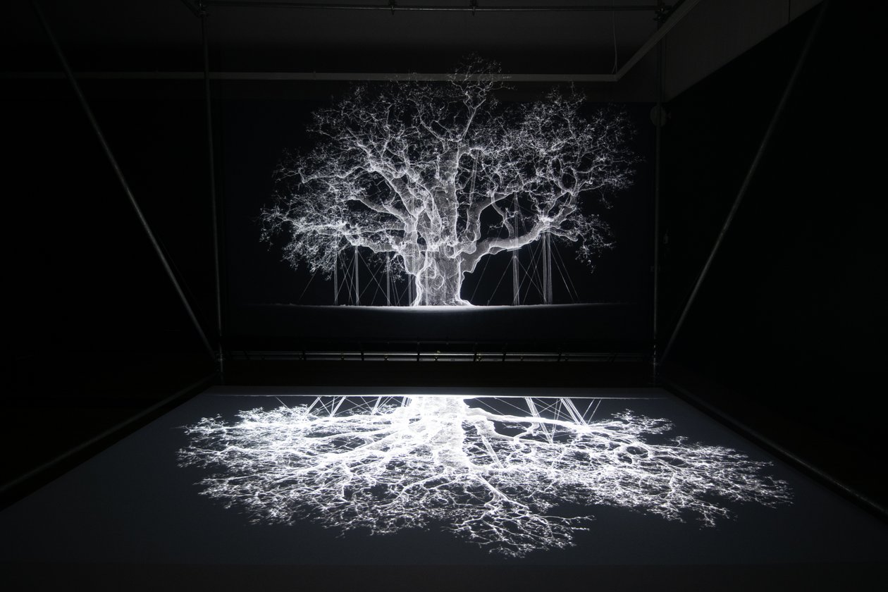 Albion Mat Collishaw