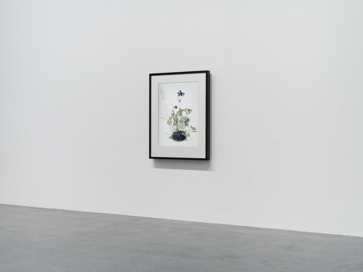 Columbine, 2018 (Puukehys, reunus, LCD-näyttö, tuuletin ja mediasoitin) tekijältä Mat Collishaw