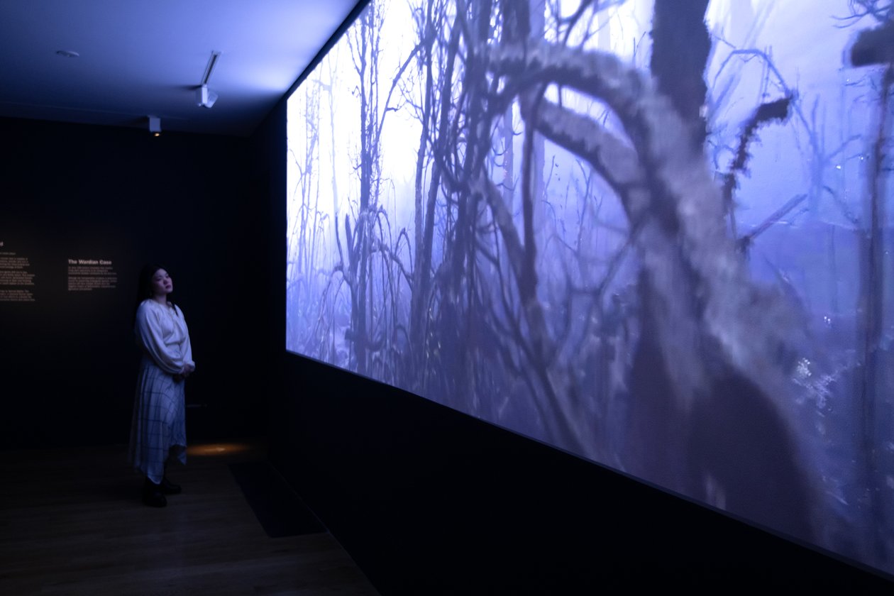 Even to the End, Mat Collishaw
