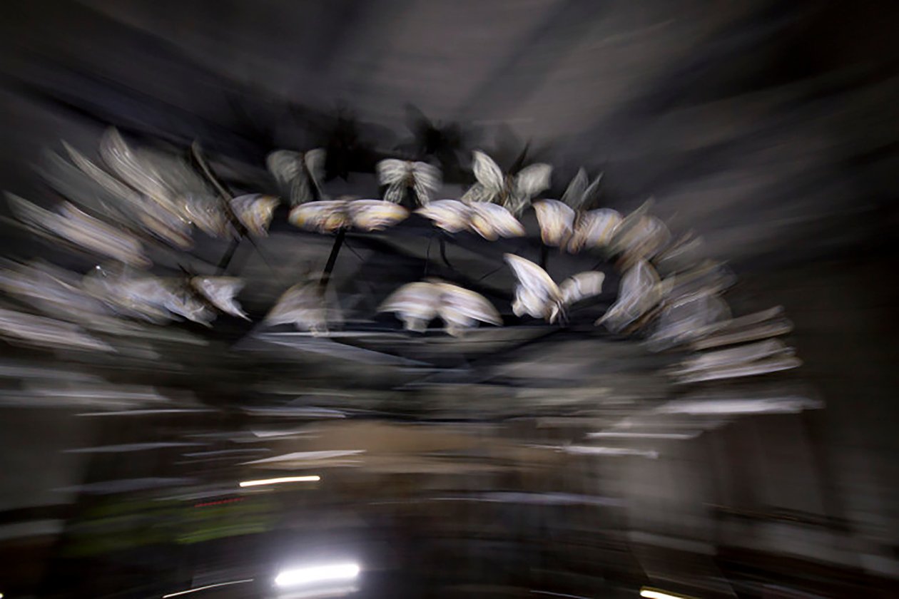 Magic Lantern, 2010 (Teräsrunko, rei