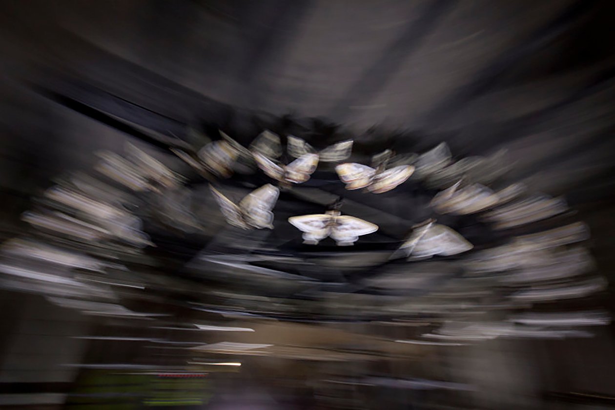 Magic Lantern, 2010 (Teräsrunko, rei