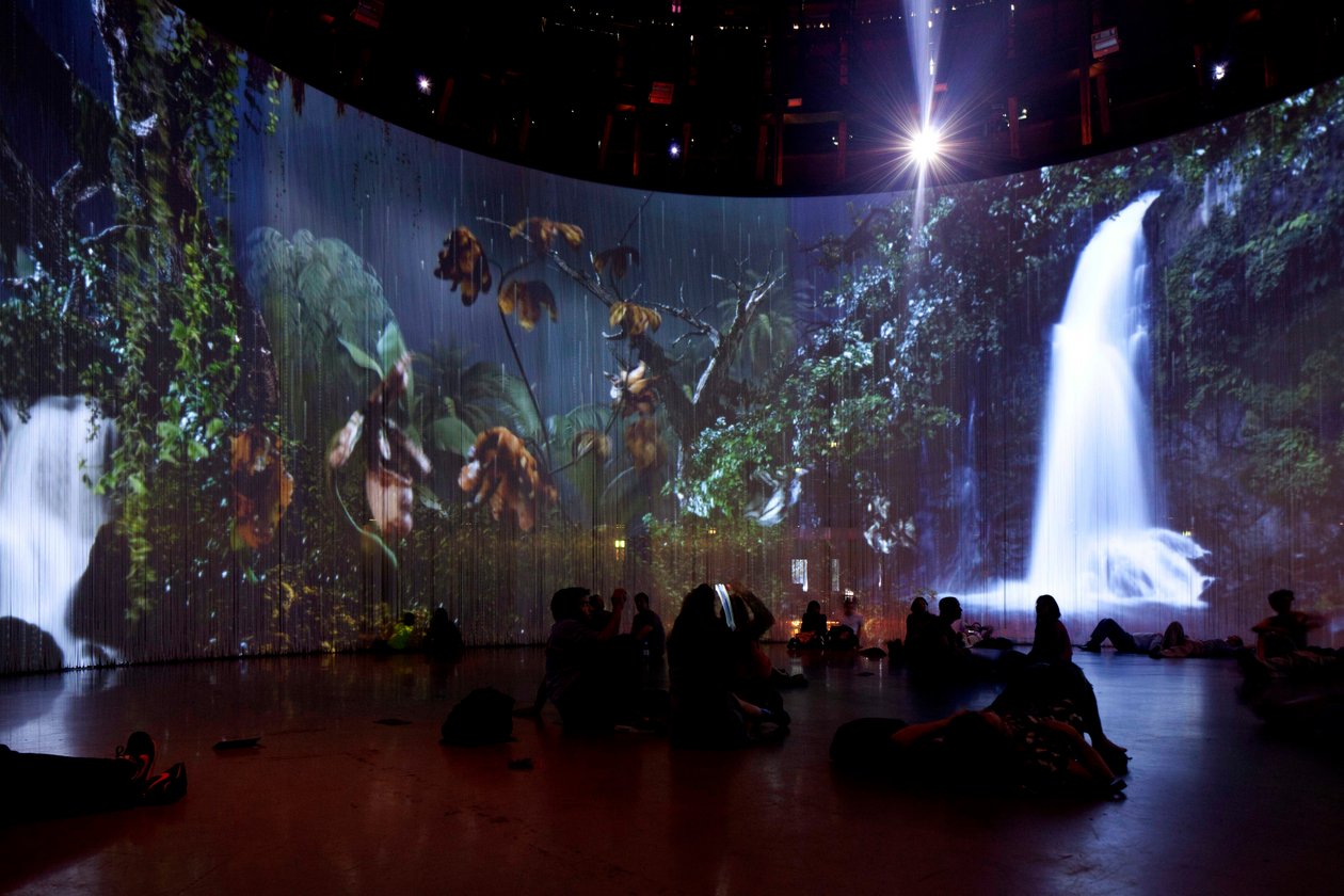 Sordid Earth, 2011 (videoinstallaatio, kovalevy, silikoni, teräs). tekijältä Mat Collishaw