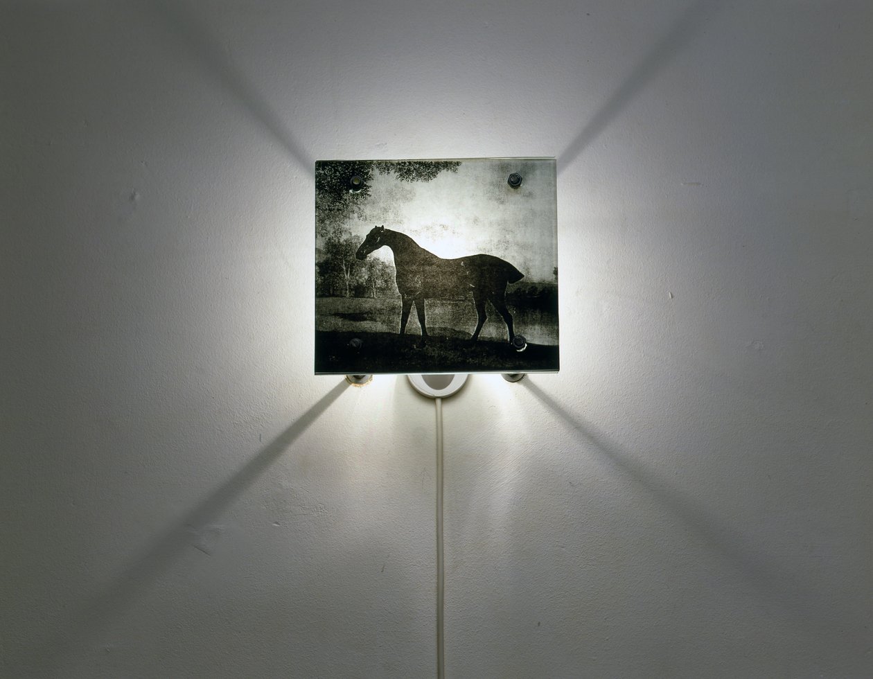 Stubbsin hevoset tekijältä Mat Collishaw