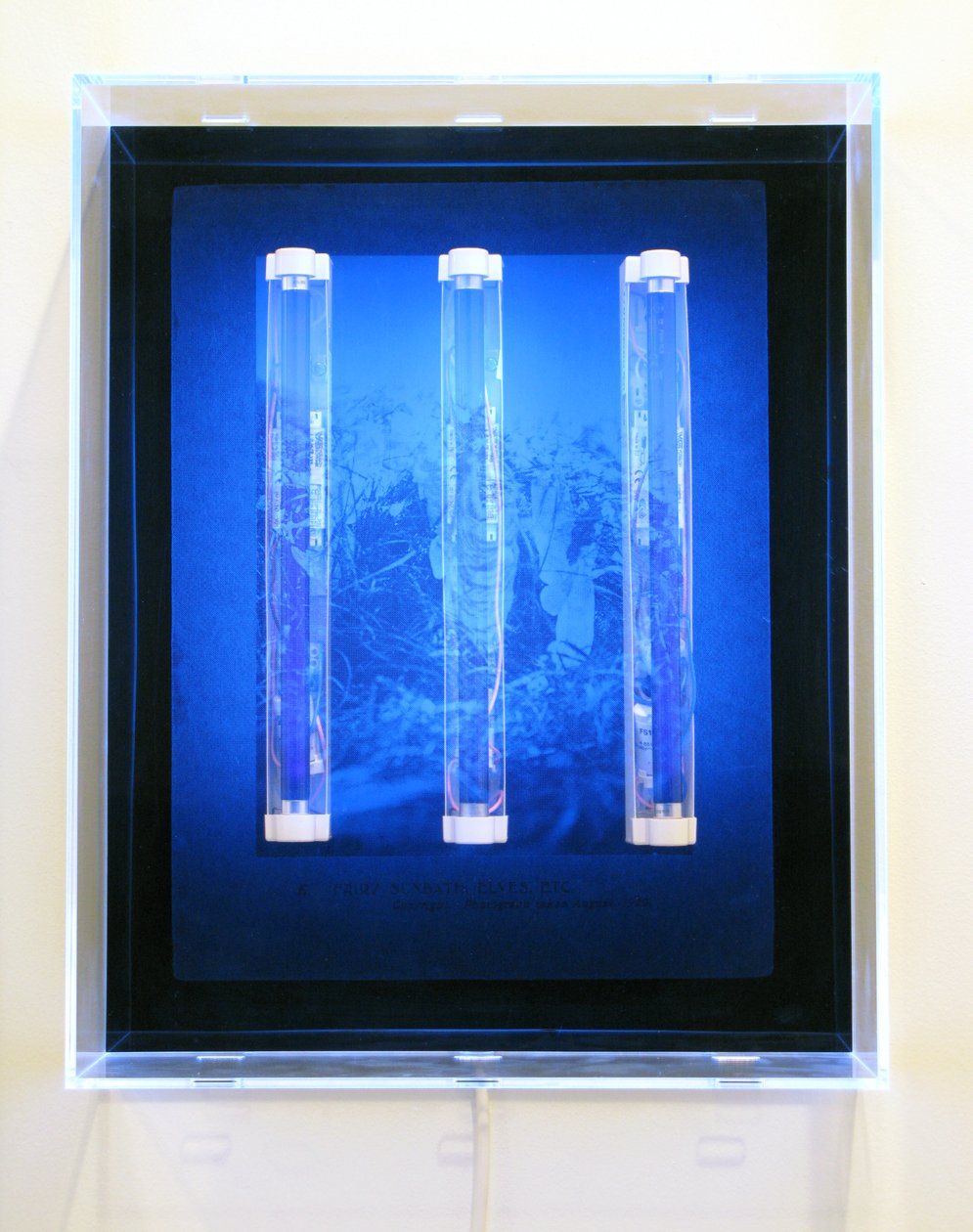 UV Garden, Fairy, Sunbath, Elves, Etc., 2008 (Silkkipaino akryylille, UV-valo ja valaisimet) tekijältä Mat Collishaw