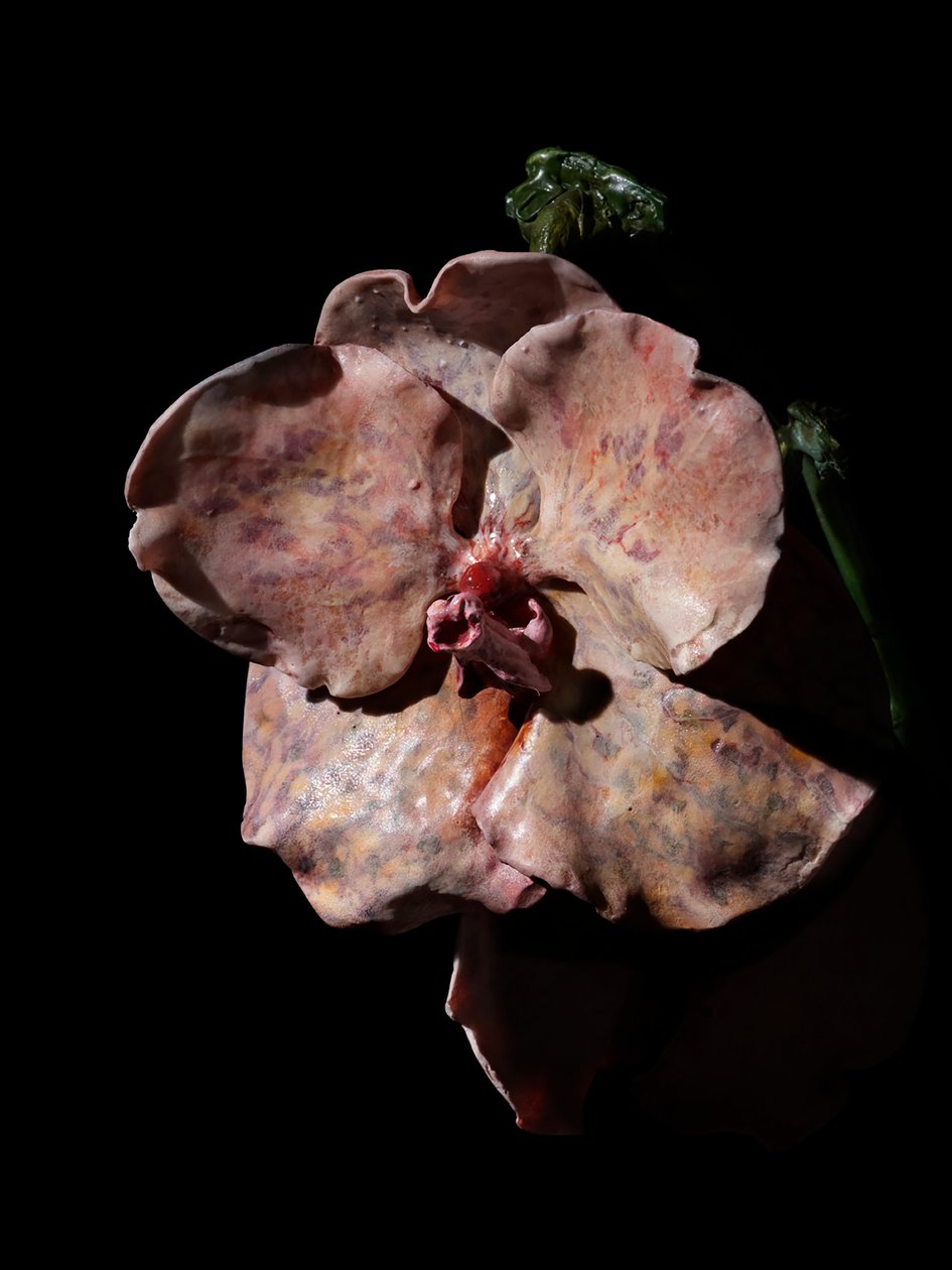 Venal Muse, Impetus, 2012 (hartsi, emalimaali, puu, lasi, teräs) tekijältä Mat Collishaw