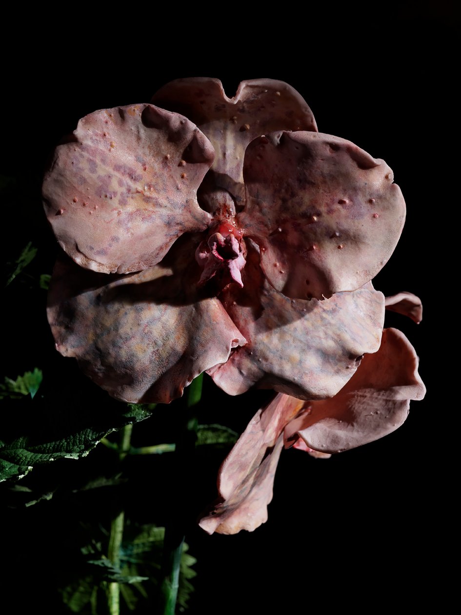 Venal Muse, Impetus, 2012 (hartsi, emalimaali, puu, lasi, teräs) tekijältä Mat Collishaw