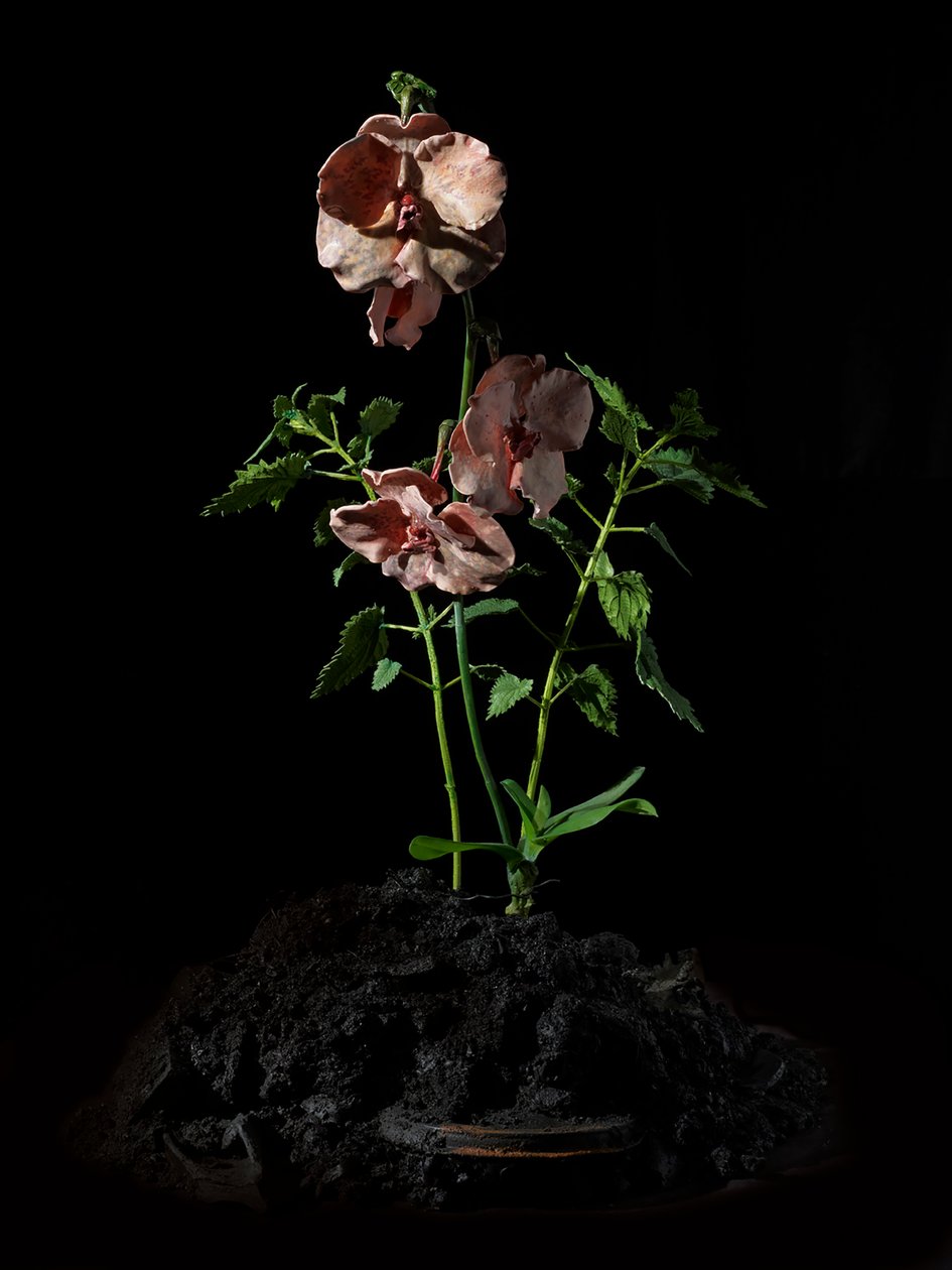 Venal Muse, Impetus, 2012 (hartsi, emalimaali, puu, lasi, teräs) tekijältä Mat Collishaw