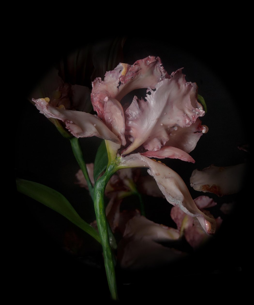 Venal Muse, Viridor, 2012 (hartsi, emalimaali, puu, lasi, teräs) tekijältä Mat Collishaw