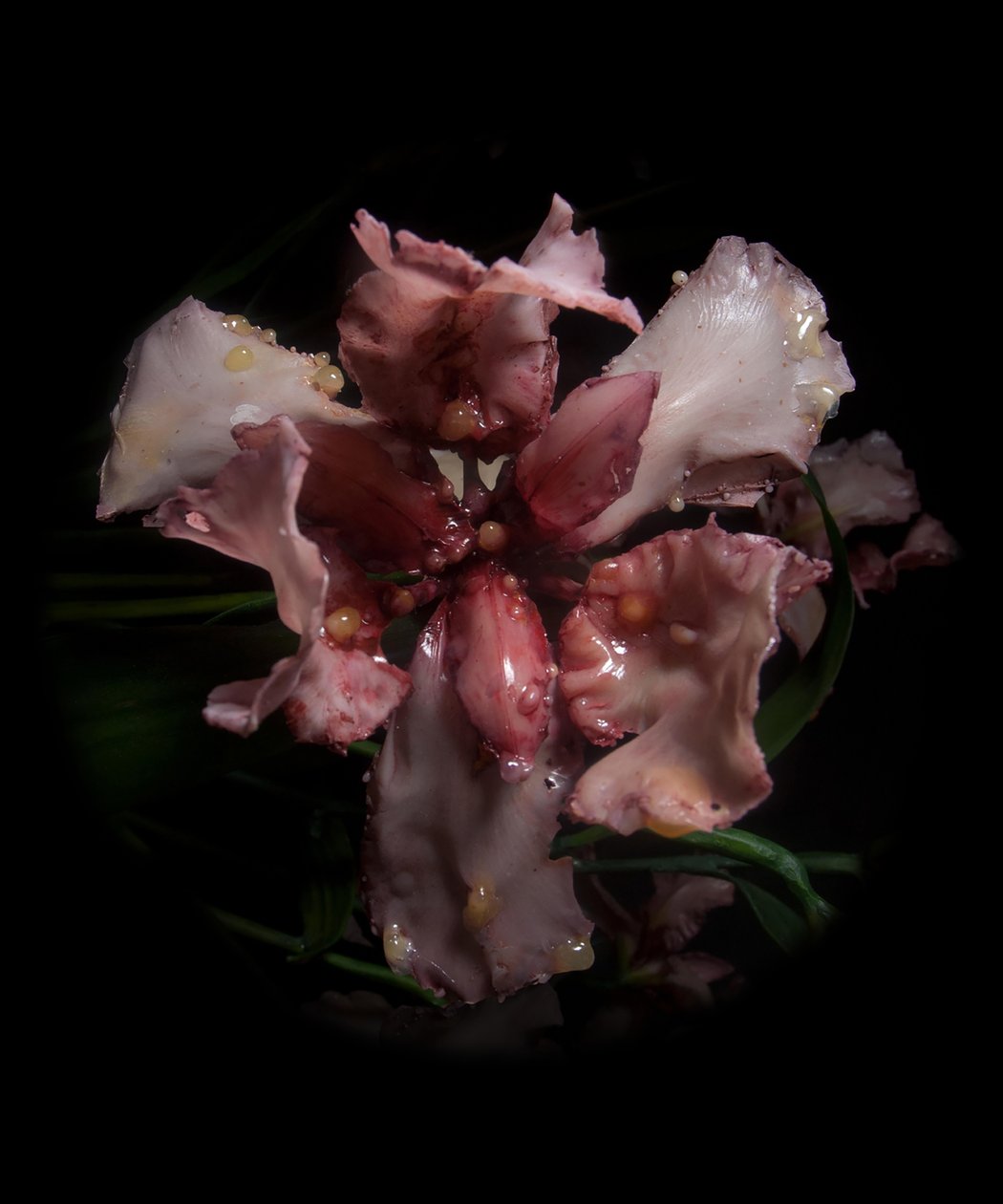 Venal Muse, Viridor, 2012 (hartsi, emalimaali, puu, lasi, teräs) tekijältä Mat Collishaw
