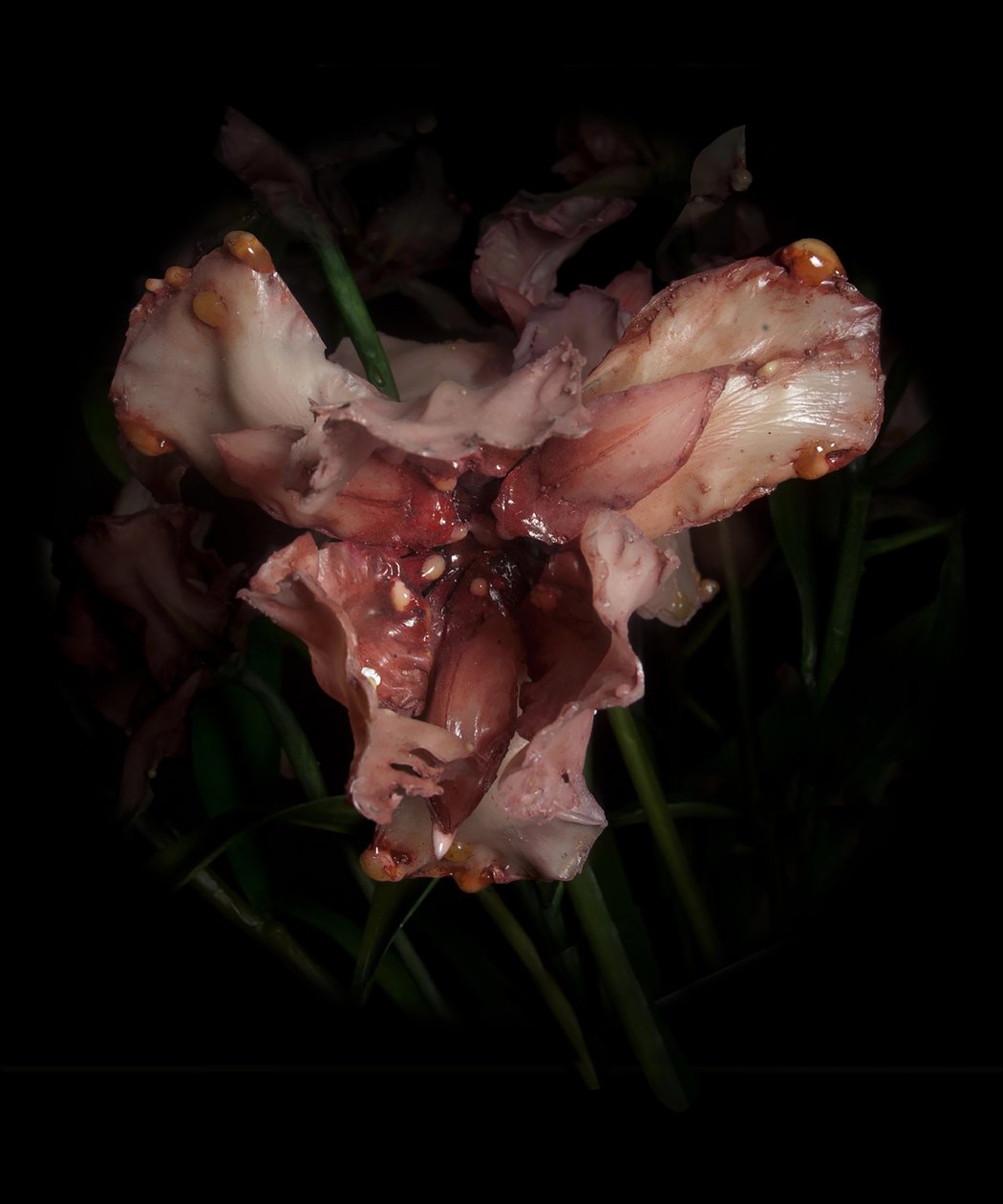 Venal Muse, Viridor, 2012 (hartsi, emalimaali, puu, lasi, teräs) tekijältä Mat Collishaw