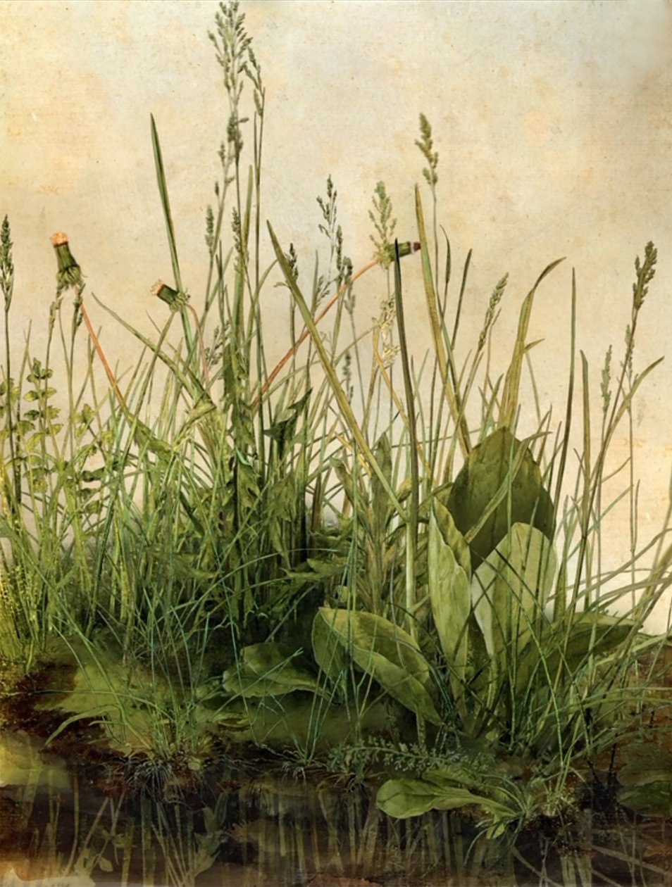 Whispering Weeds, 2011 (Puukehys, kehys, LCD-näyttö, tuuletin ja kiintolevy) tekijältä Mat Collishaw