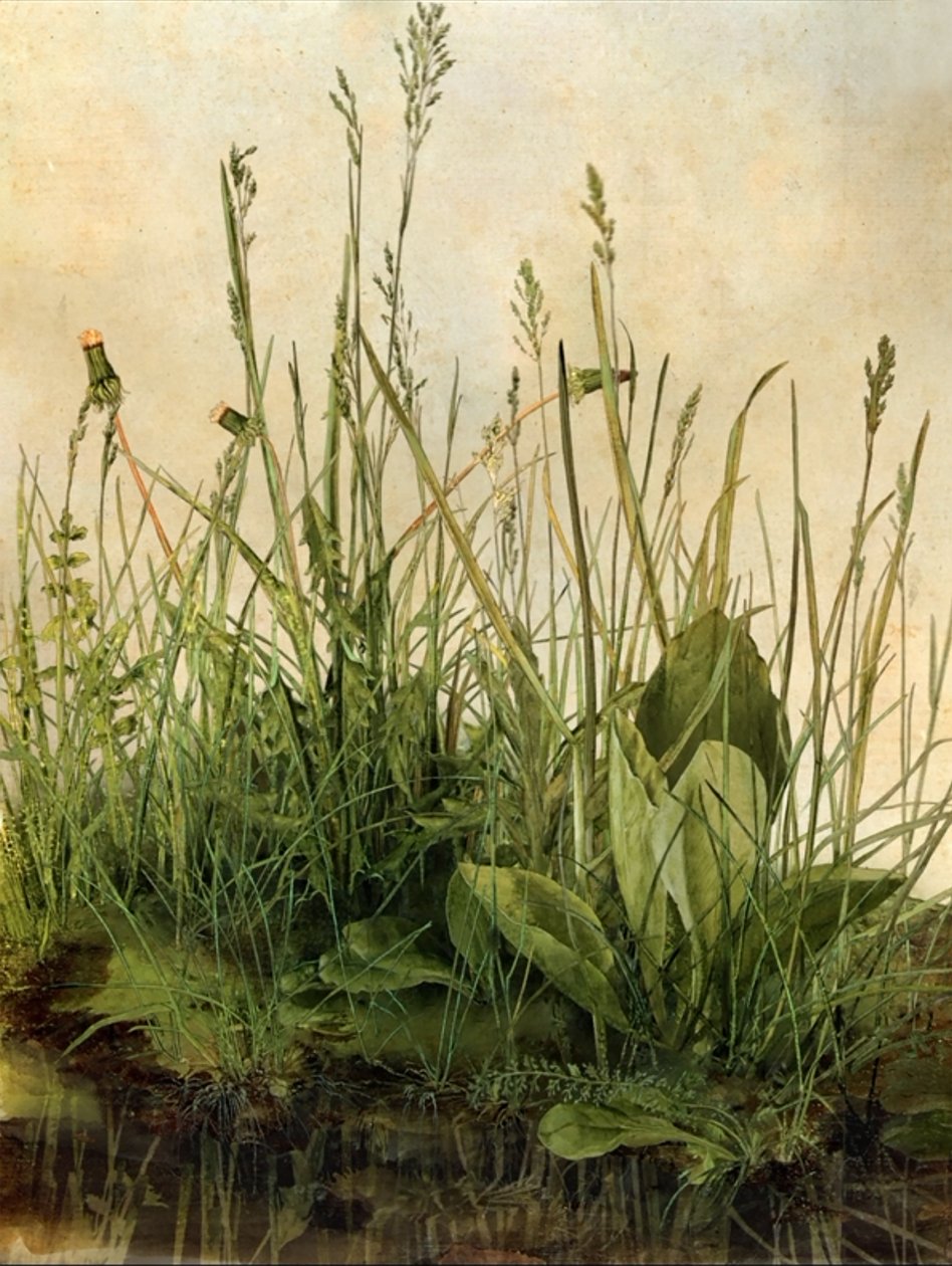 Whispering Weeds, 2011 (Puukehys, kehys, LCD-näyttö, tuuletin ja kiintolevy) tekijältä Mat Collishaw