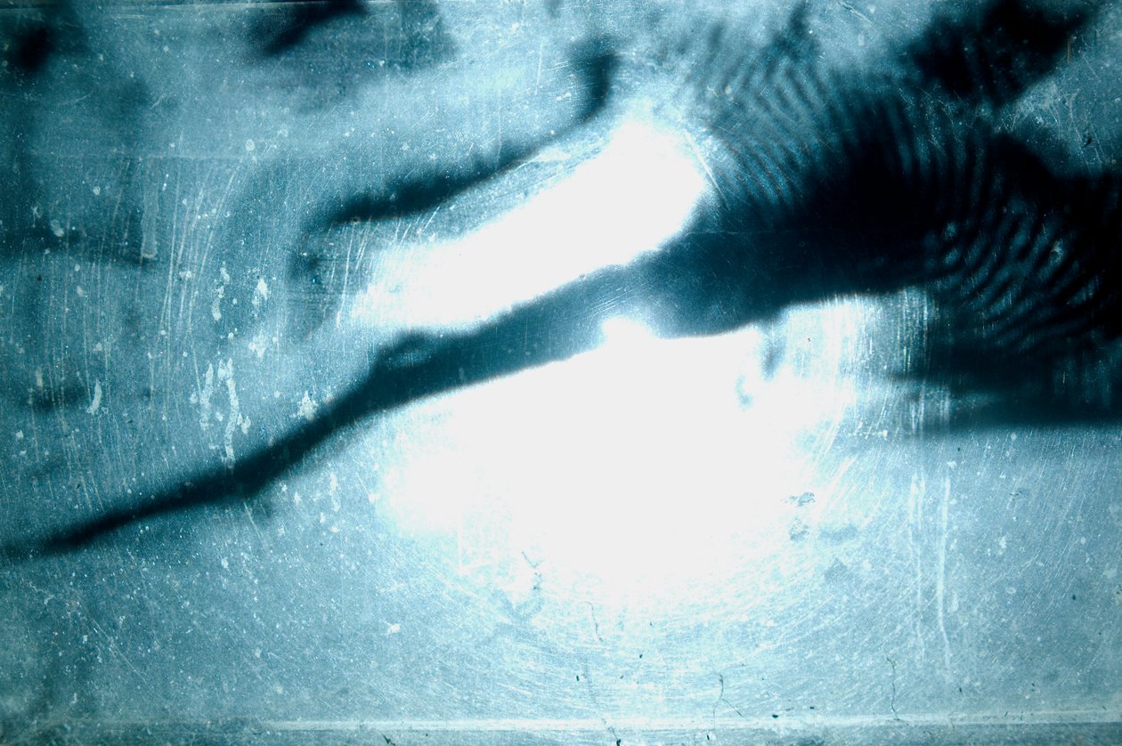 Wormery, 2009 (Puu, lasi, teräs, projektori ja soitin) tekijältä Mat Collishaw