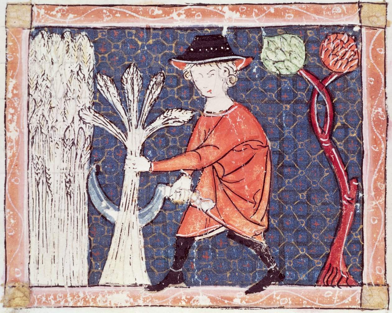 Fol.58v Heinäkuu: The Harvest tekijältä Matfre Ermengaut