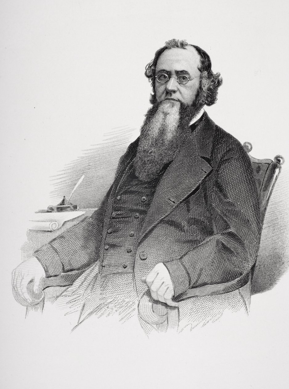 Edwin M. Stantonin (1814-69) muotokuva tekijältä Mathew B. Brady