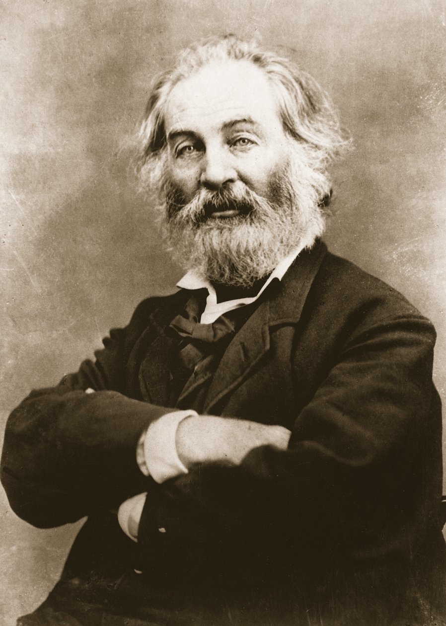 Walt Whitman (syväpaino) tekijältä Mathew B. Brady