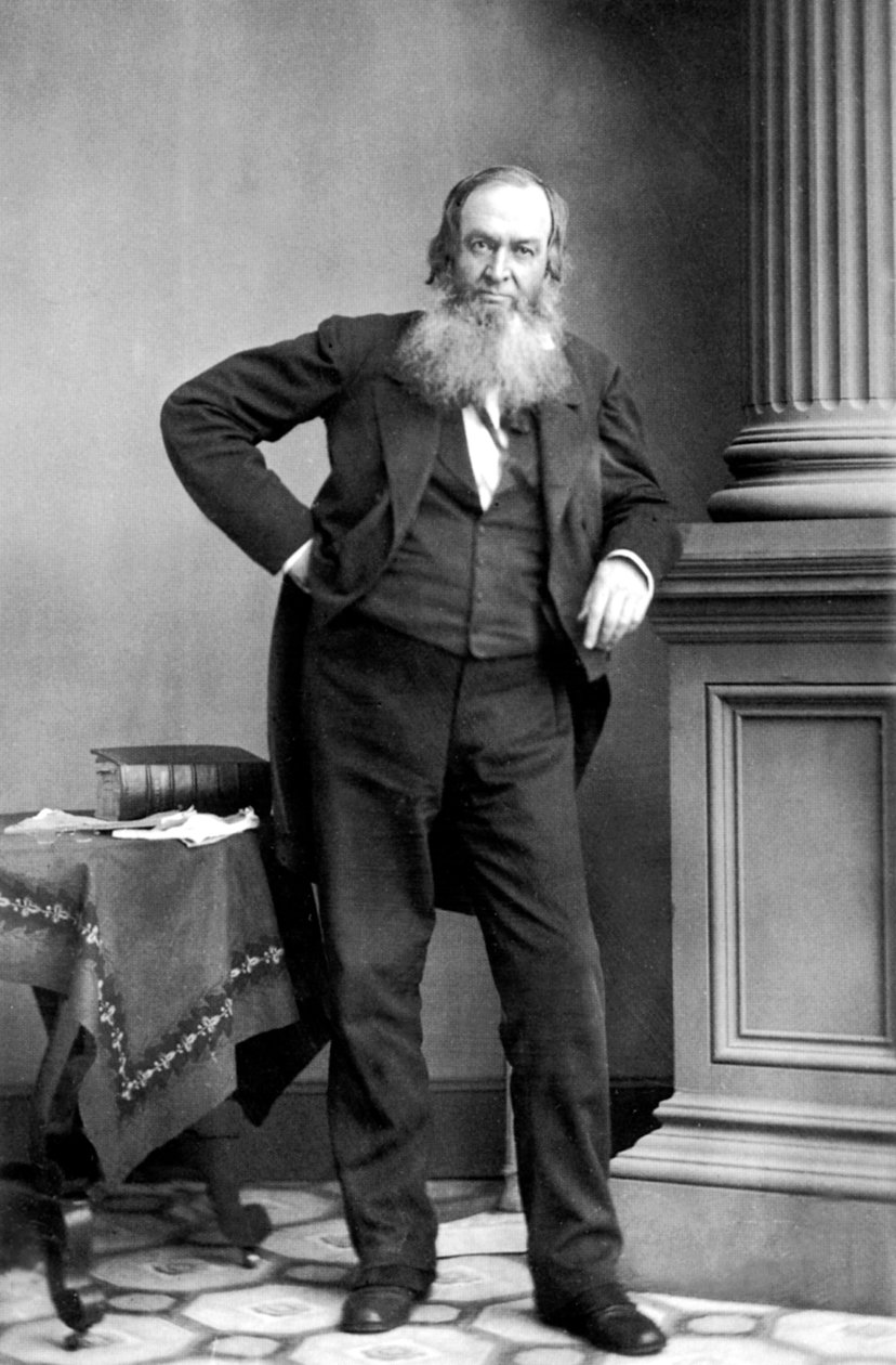 Gerrit Smith: Amerikkalainen poliitikko, New York tekijältä Mathew B. Brady