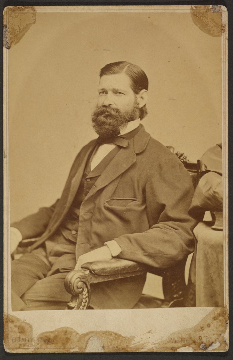 Thomas Davidson Jr. tekijältä Mathew B. Brady